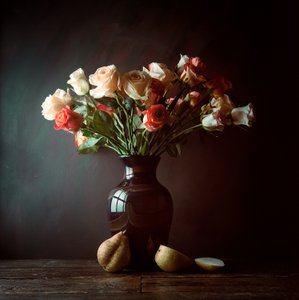 Moody Rozen en Peren door Luiz Laercio