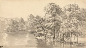 Bomen bij een meer door Luke Sullivan