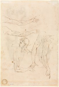 Schetsen van vijf armen en een hoofd (verso) door Luzio Romano