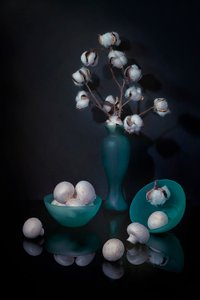 Stilleven met katoen en paddenstoelen door Lydia Jacobs