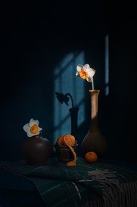 Narcissen en citruskleurige schaduwen door Lydia Jacobs