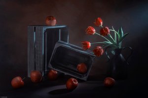  door Lydia Jacobs