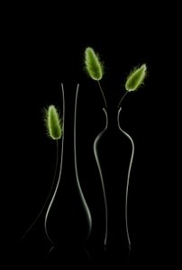 Elegant groen stilleven door Lydia Jacobs