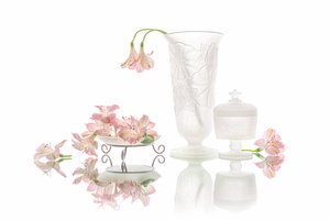 Weerspiegeling van elegante roze bloemen door Lydia Jacobs