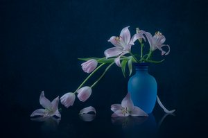 Stemmige lelies en tulpen door Lydia Jacobs