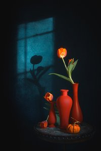  door Lydia Jacobs