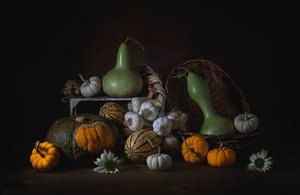  door Lydia Jacobs