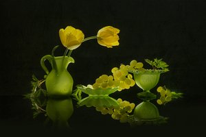 Gele tulpen, groene druiven door Lydia Jacobs