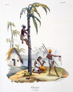 Een man van de Nadar-kaste die een palmboom beklimt, 1827-35