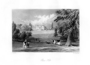 Pains Hill, Surrey, 19e eeuw