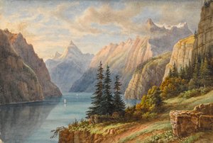 Vue du Rutli door M. Nicolas Karth