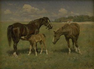 Drie paarden op een veld door M. Therkildsen