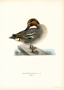 Wintertaling door Magnus Ferdinand and Wilhelm von Wright
