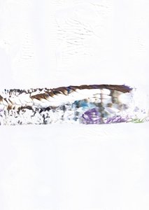 Abstract Horizon-mix door Maira Ribena