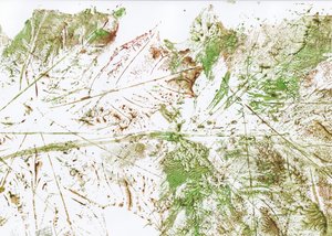 Abstract blad