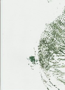 Botanische bladprint