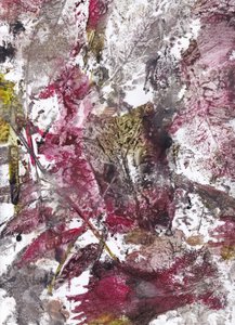 Crimson Botanische afdrukken door Maira Ribena