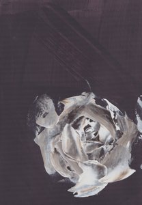 Donkere abstracte roos