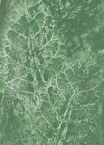 Diepgroene bladtextuur