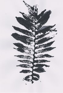 Elegant Fern Leaf door Maira Ribena