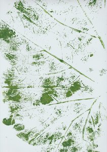 Groenblad-indruk