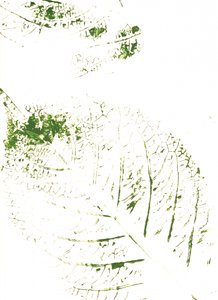 Groene bladerenprints