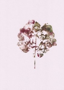 Ingetogen botanische impressie door Maira Ribena