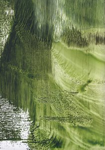 Biologische Groene Stroom