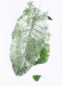 Biologische bladprint door Maira Ribena