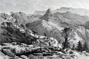 Op mars nabij Dongolo, gegraveerd door James Ferguson, 1868