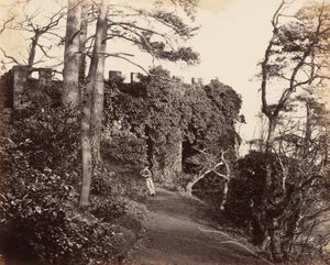 Bij Winterdyne aan de Severn,1860 (foto) door Major Francis Gresley