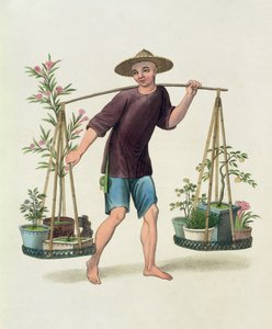 Een drager met fruitbomen en bloemen, plaat 16 uit 