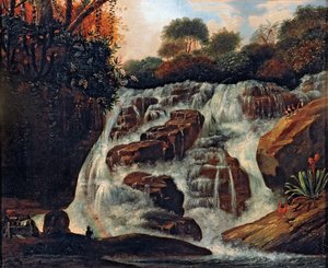 Grote Tijuca Waterval