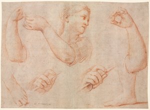 Studie van een Jonge Vrouw die een Tamboerijn Speelt, en Studies van een Arm, Handen en Voeten (Studies voor "Miriam die het Koor van Vrouwen Leidt die Dankzeggen voor de Nederlaag van Farao" door Marcantonio Franceschini