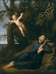 Sint Franciscus in de woestijn