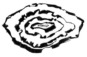 Isoips, 2023 (inkt op papier) door Marco Campedelli