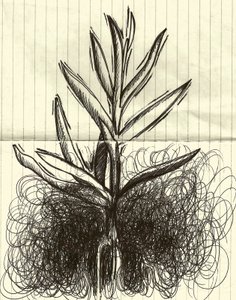 Plant, 2014 (inkt op papier) door Marco Campedelli