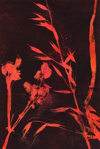 Rode bladeren, 2024 (monotype) door Marco Campedelli