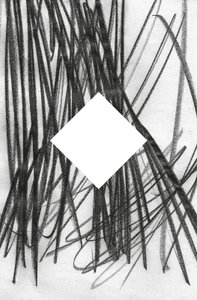 Zonder titel, 2014 (grafiet op papier) door Marco Campedelli