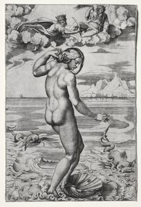 De geboorte van Venus door Marco Dente