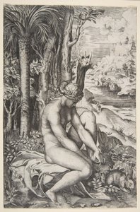 Venus die een Doorn uit haar Linkervoet Verwijdert terwijl ze op een Doek naast Bomen Zit, ca. 1515-27 door Marco Dente
