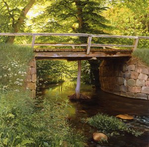 Een bosbeek met een houten brug door Marcus Bech Fritz