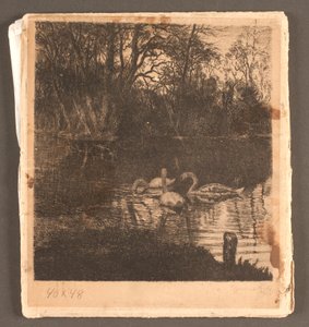 Motief met zwanen. Frederiksberg tuin door Marcus Bech Fritz
