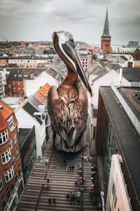  door Marcus Hennen