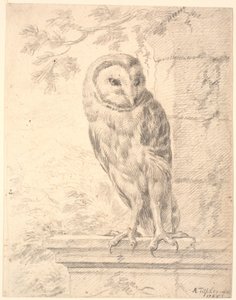 Baron von Stoschs uil door Marcus Tuscher
