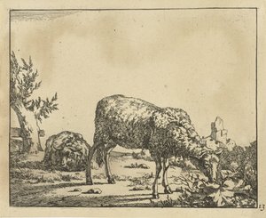 Grazend schaap en liggend schaap bij hek door Marcus de Bye