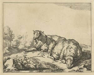 Twee schapen liggend bij bramentak door Marcus de Bye