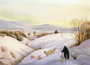 Schapen op de heuvelrug door Margaret Loxton