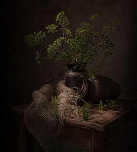 Donker botanisch stilleven door Margareth Perfoncio