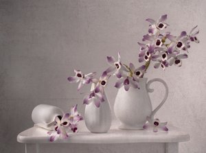 Fijnzinnig stilleven met orchideeën